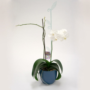 Tyčka k orchideji list, sklo, 2 ks, Plastia