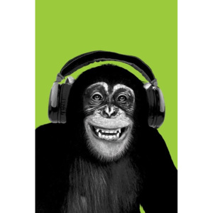 Plagát, Obraz - Chimpanzee headphones, (61 x 91,5 cm)