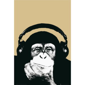 Plagát, Obraz - Steez - monkey, (61 x 91,5 cm)