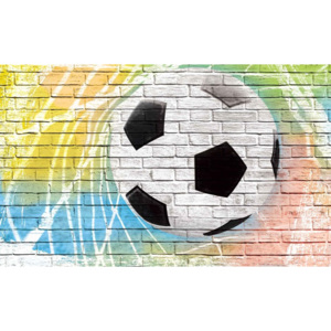Fototapeta, Tapeta Futbal - Tehlová stena, (416 x 254 cm)