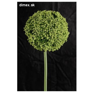 Dekoračný umelý kvet - Cesnak zelený 65 cm