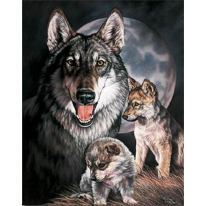 Plechová ceduľa GRAHAM - Wolf Experience, (31,5 x 40 cm)