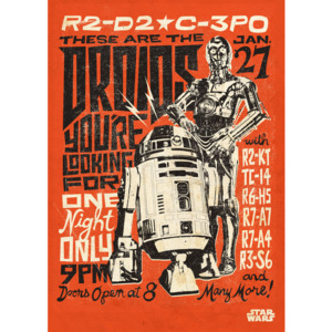 Nástenná ceduľa PosterPlate Star Wars Legends - Droids