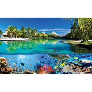 Fototapeta, Tapeta Exotická krajina - Podmorský svet, (368 x 254 cm)