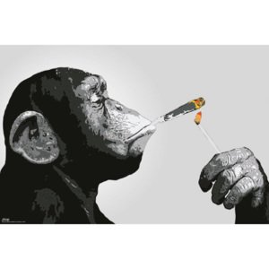 Plagát, Obraz - Steez - Opice Smoking, (91,5 x 61 cm)