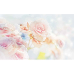 Fototapeta, Tapeta Kvety, ruže, pastelové farby, (368 x 254 cm)