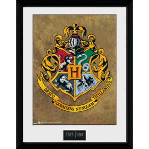 Rámovaný Obraz - Harry Potter - Hogwarts