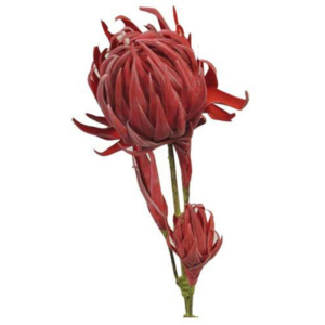 Stardeco Umelá kvetina StarDeco WLG221613-RE kvet červený