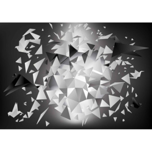 Fototapeta, Tapeta Abstraktné umenie vtáky, (368 x 254 cm)