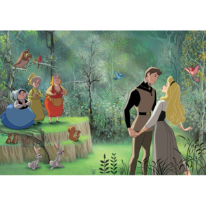 Fototapeta, Tapeta Disney Princezná Šipková Ruženka, (312 x 219 cm)