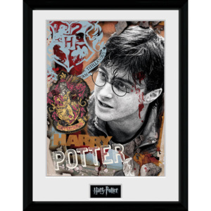Rámovaný Obraz - Harry Potter - Harry Potter