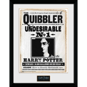 Rámovaný Obraz - Harry Potter - Quibler