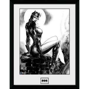Rámovaný Obraz - DC Comics - Cat Woman