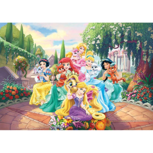 Fototapeta, Tapeta Disney Princezné Rapunzel Ariel, (254 x 184 cm)