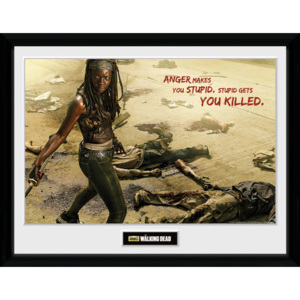 Rámovaný Obraz - The Walking Dead - Michonne Kill