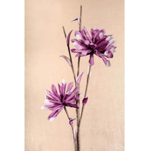 Paramit Dekoračný penový kvet - Chryzantéma fialová, 90 cm