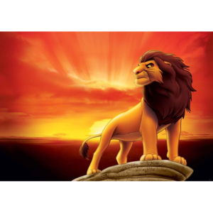Fototapeta, Tapeta Disney . Leví kráľ, východ slnka, (211 x 90 cm)