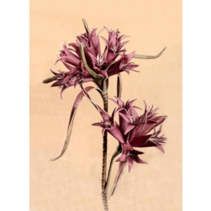 Paramit, Dekoračný penový kvet, fialový, 85 cm