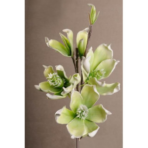 Paramit, Dekoračný penový kvet, biely zelený, 80 cm