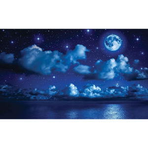 Fototapeta, Tapeta Mesiac v noci nad morom, (416 x 254 cm)