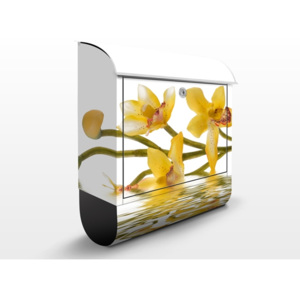 Poštová schránka s potlačou Saffron Orchid Waters