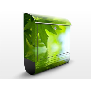 Poštová schránka s potlačou Green Ambiance III