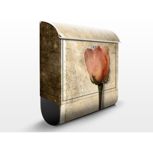 Poštová schránka s potlačou Retro ruže