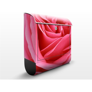 Poštová schránka s potlačou Pink Rose