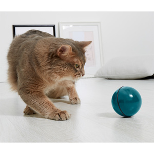 Hračka pre mačky »Roll Ball«