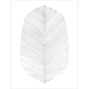 Plagát White Feather 30x40 cm