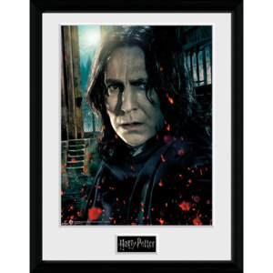 Rámovaný Obraz - Harry Potter - Snape