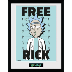 Rámovaný Obraz - Rick and Morty - Free Rick