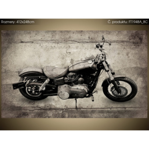 Fototapeta Motorka Harley Davidson 412x248cm FT1948A_8C (Rôzne varianty)