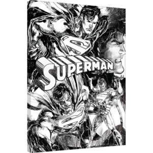 Obraz na plátne Superman - Sketch, (60 x 80 cm)