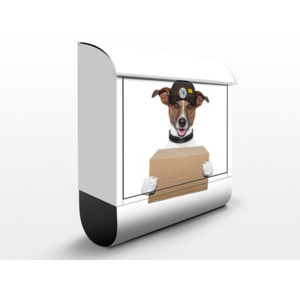 Poštovní schránka s potiskem Pes s balíčkem