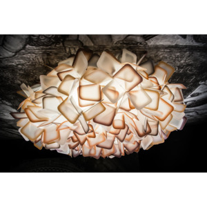 Luster Clizia