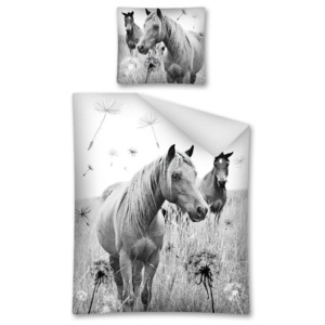 Detexpol Povlečemevas.cz obliečky Horse Riding Koně bavlna