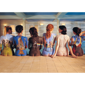 Plagát, Obraz - Pink Floyd - Back Catalogue, (140 x 100 cm)
