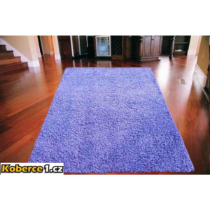 Kusový koberec Shaggy vlas 50mm fialový, Velikosti 140x190cm