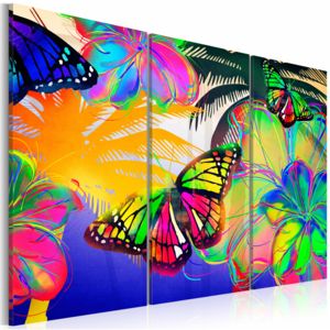 Obraz - Exotic butterflies - triptych