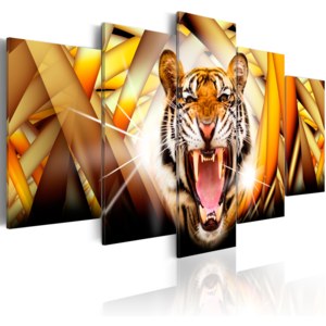 Obraz - Energy of Tiger 200x100