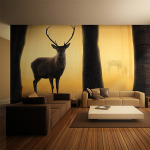 Fototapeta XXL - Deer in his natural habitat 550x270 cm