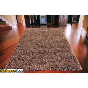Kusový koberec Shaggy vlas 50 mm hnedý, Velikosti 80x150cm