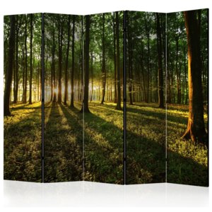 Paraván - Morning in the Forest II [Room Dividers] 225x172