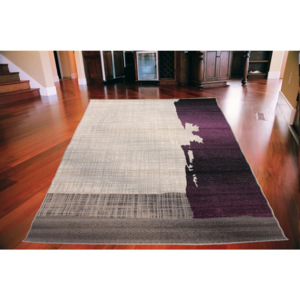 Kusový koberec PP Shad fialový, Velikosti 240x330cm