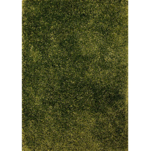 Kusový koberec Shaggy vlas 30mm Fiono zelený, Velikosti 70x140cm