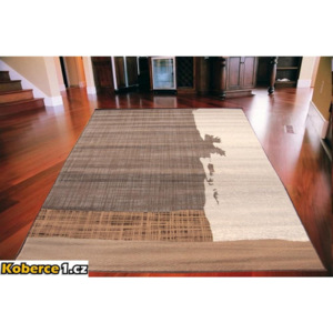 Kusový koberec PP Shad hnedý, Velikosti 160x230cm