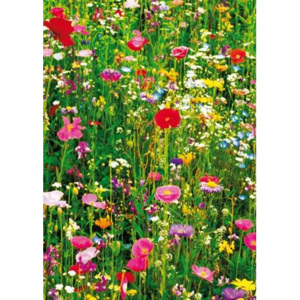 Fototapety, rozmer 183 x 254 cm, Flower Field, W+G 375