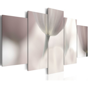 Obraz - Tulip in grey shades 100x50