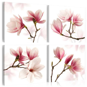 Bimago Obraz na plátne - Romantic Pink 40x40 cm